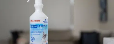 Business 7 image JIM'S CLEANING NEWSTEAD Vacate Cleaning in Mayfield TAS