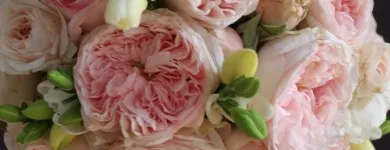 Business 2 image JUST WEDDING FLOWERS Wedding Reception Flowers in Gwelup WA