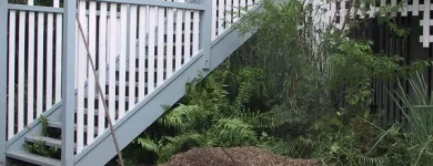 Business 3 image KIWI STUMPGRINDING Tree & Stump Removal Services in Brisbane QLD