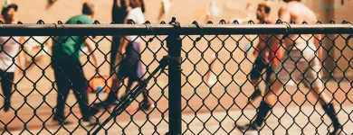 Business 1 image LONGAIN FENCING Fencing Contractors in Sydeny NSW