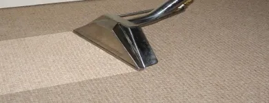 Business 1 image MAGIC WAND CARPET CLEANING & PEST CONTROL Pest Control in Northgate QLD