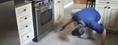 Business 2 image MAGIC WAND CARPET CLEANING & PEST CONTROL Pest Control in Northgate QLD