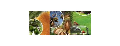 Business 4 image MAXIJET - HOT WATER PUMPS, IRRIGATION, SUBMERSIBLE, CENTRIFUGAL PUMPS Water Filters in Melbourne VIC