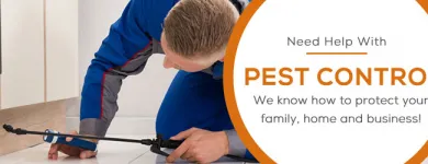 Business 3 image MY HOME PEST CONTROL Pest Control in Brisbane QLD