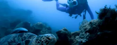 Business 3 image PELAGIC DIVE TRAVEL Vacation in Docklands VIC