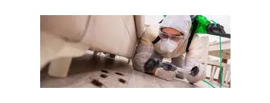 Business 3 image PEST CONTROL HARRISDALE Pest Control in Harrisdale WA