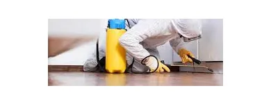 Business 2 image PEST CONTROL HAWTHORNE Pest Control in Hawthorne QLD