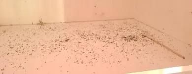 Business 2 image PEST CONTROL MELBOURNE Pest Control in Melbourne VIC