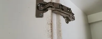 Business 3 image PEST CONTROL MELBOURNE Pest Control in Melbourne VIC
