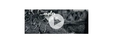 Business 4 image PIXEL GROUP AUSTRALIA Web Design & Development in Perth WA