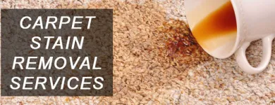 Business 2 image PROFESSIONAL CARPET CLEANING SERVICE IN PERTH Carpet Cleaning & Protection in Perth WA