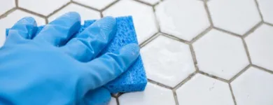 Business 1 image PROFESSIONAL TILE AND GROUT CLEANING ADELAIDE Wall & Floor Tilers in Adelaide SA