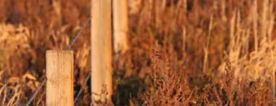 Business 6 image STEED SURVEYORS & LAND DIVISIONS Topographic Surveys in Norwood SA