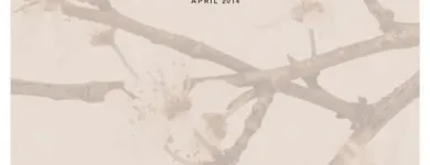 Business 3 image THE END CREATIVE AGENCY Website Designer in Swanbourne WA