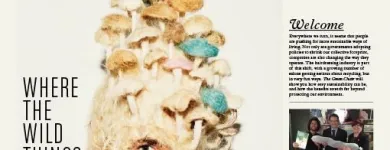 Business 12 image THE END CREATIVE AGENCY Website Designer in Swanbourne WA