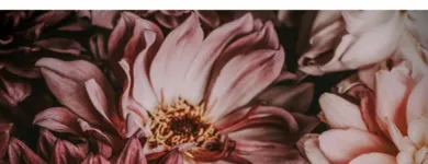 Business 14 image THE END CREATIVE AGENCY Website Designer in Swanbourne WA