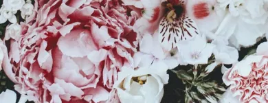 Business 16 image THE END CREATIVE AGENCY Website Designer in Swanbourne WA