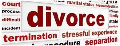 Business 1 image THE NORTON LAW GROUP Legal Sevices in Leichhardt NSW