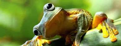 Business 5 image THE UNUSUAL PET VETS Veterinary Surgery in Balcatta WA