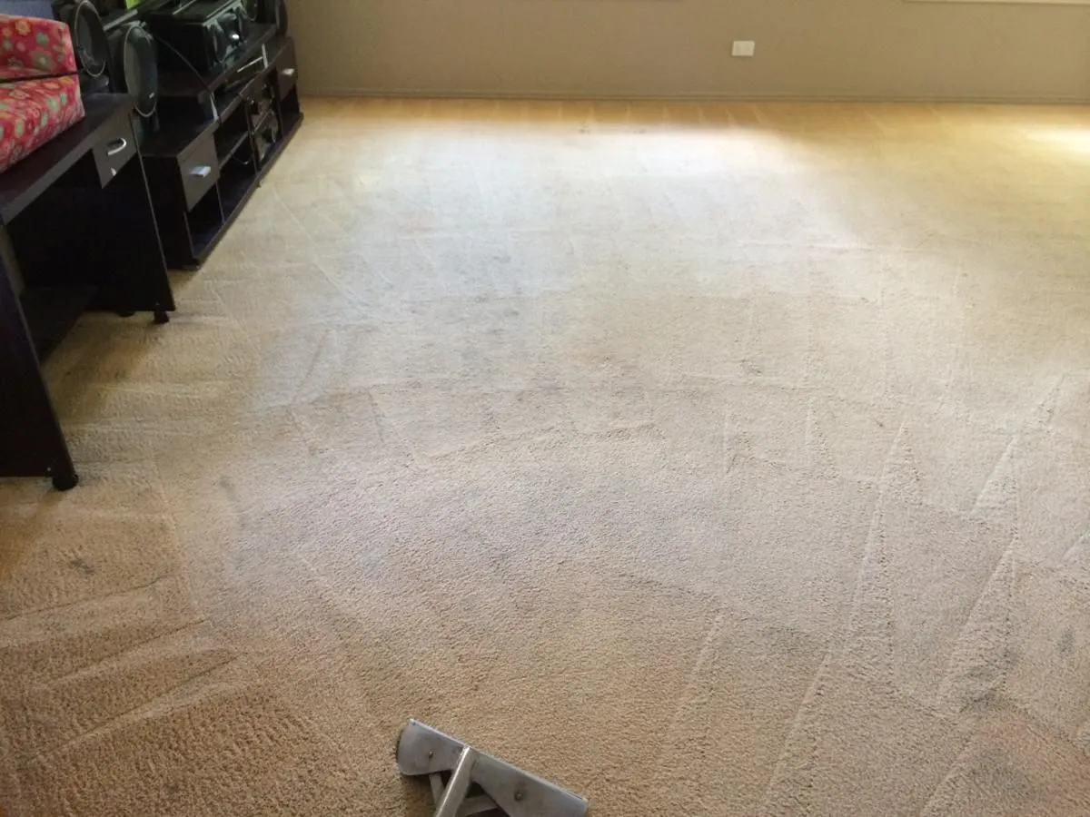 Business 3 image MAGIC WAND CARPET CLEANING & PEST CONTROL