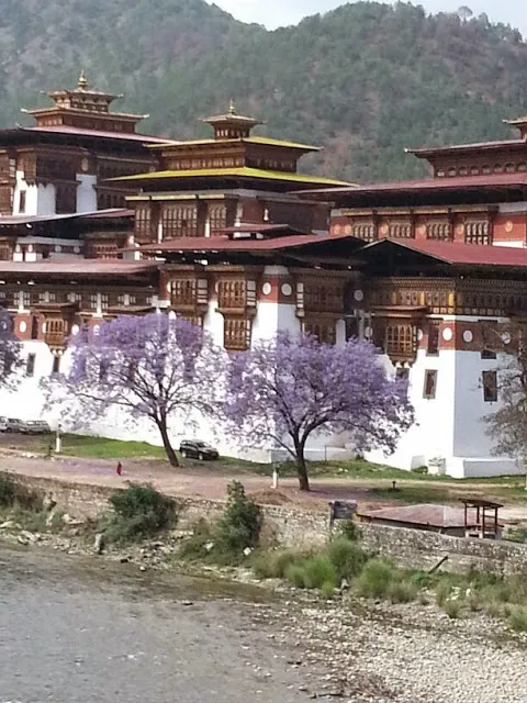 Business 1 image HIMALAYAN EXPERIENCE TRAVEL