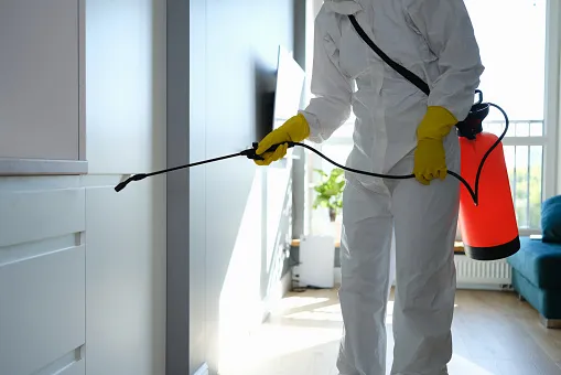 Business 1 image MORRIS PEST CONTROL ADELAIDE