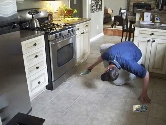 Business 2 image MAGIC WAND CARPET CLEANING & PEST CONTROL