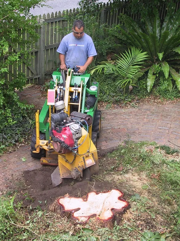 Business 2 image KIWI STUMPGRINDING