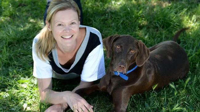 Business 2 image DOGSHARE - DOG ADOPTION & CARE SERVICE
