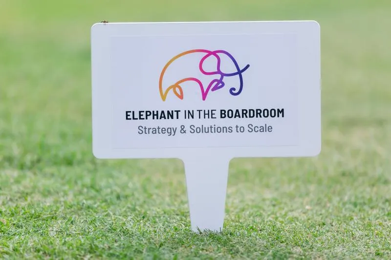 Business 2 image ELEPHANT IN THE BOARDROOM