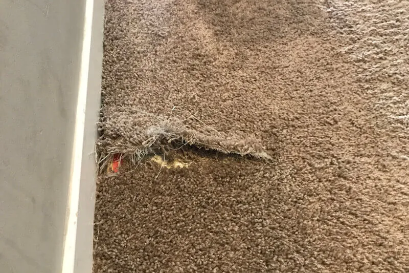 Business 5 image INVISIBLE CARPET REPAIR BRISBANE