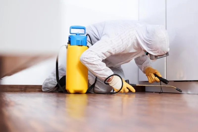 Business 2 image MORRIS PEST CONTROL ADELAIDE