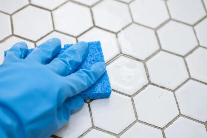 Business 1 image PROFESSIONAL TILE AND GROUT CLEANING ADELAIDE