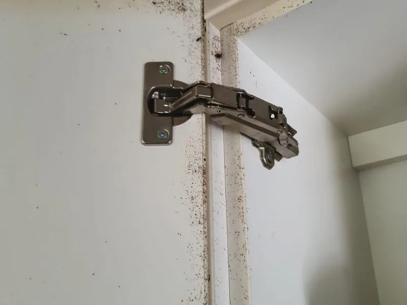 Business 3 image PEST CONTROL MELBOURNE