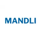 MANDLI TECH