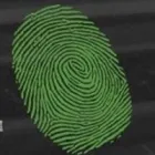 GARDEN LANE MAINTENANCE