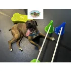THERAPY FOR DOGS WITH HIP DYSPLASIA